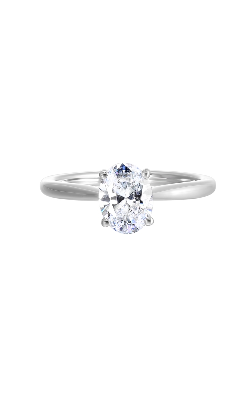 Marry Ann Diamonds Engagement Ring Diamonds W0981ON100SM-4WB