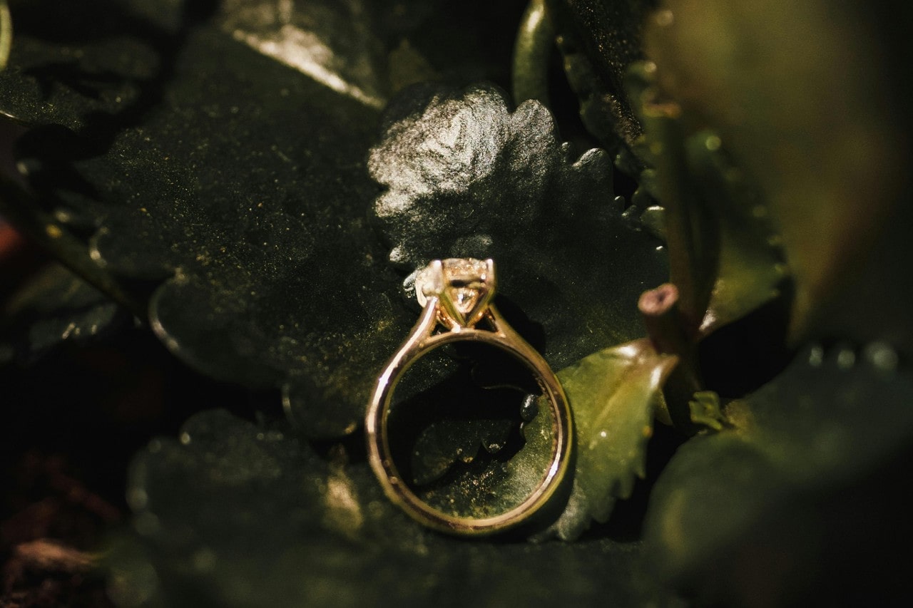 a classic yellow gold engagement ring lying on green leaves